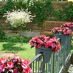 Haus Sonneneck Medebach