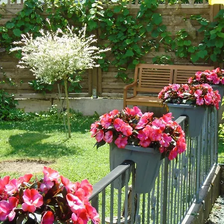 Haus Sonneneck 梅德巴赫