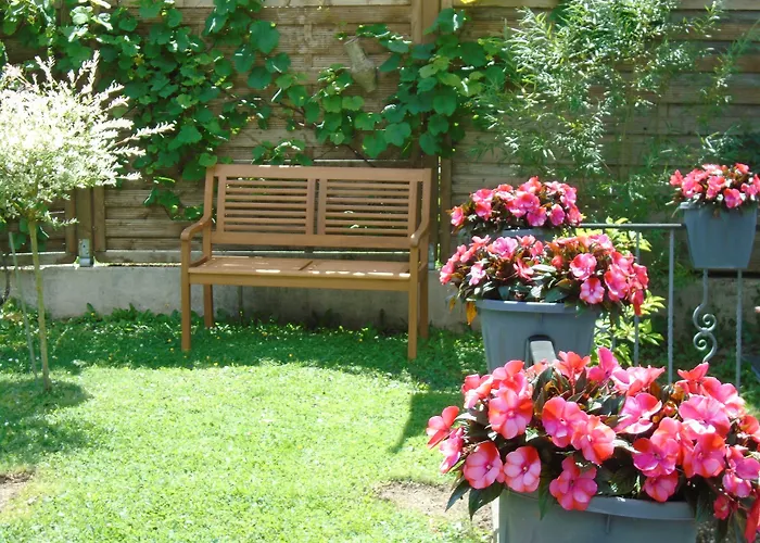 Haus Sonneneck Gæstehus Medebach