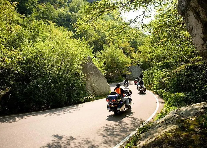 Haus Sonneneck Medebach